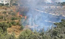 Son Dakika: Bodrum Dereköy'de Korkutan Yangın! Havadan ve Karadan Müdahale