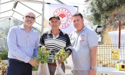 Marmara Adası'nda Tarımsal Seferberlik! İlçe Tarım Serasının İkinci Etabı Törenle Açıldı