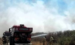 Balıkesir'de yangınların nedeni tek tek açıklandı! En çok bu hatalar yapıldı