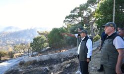 Balıkesir Valisi İsmail Ustaoğlu Açıkladı! Altınoluk ve Gömeç'te Kaç Hektar Alan Yandı? Yangınlarda Son Durum Ne?