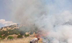 Mardin'de Korkutan Orman Yangını! Ömerli Çınaraltı Mahallesi Alevlere Teslim Oldu: Ekipler Sevk Edildi!