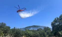 Çanakkale'de Orman Yangını! Ayvacık'ta Alevlere Havadan ve Karadan Müdahale