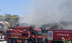 Kocaeli'de Boya Fabrikasında Yangın Faciası: 1 Kişi Hayatını Kaybetti, 2 Kişi Dumandan Etkilendi