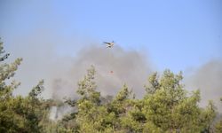 Muğla Fethiye'de Orman Yangını! Yeşilüzümlü'de Alevlerle Mücadele Sürüyor!