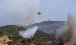 Aydın'da Korkutan Orman Yangını! 12 Hava Aracı Devrede: Alevler Evlere Sıçradı, Köylüler Yaşadıklarını Anlattı