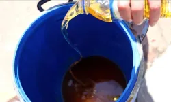 BURHANİYE'DE YAĞINI GETİRENE ÖDÜL var! | 3 Litre Atık Yağa 1 Litre Yemeklik Yağ Hediye