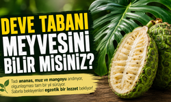 Deve tabanı meyvesini bilin misiniz?