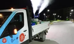 Edremit'te İlaçlama Polemiği: "Bizi Aramayın, Büyükşehir'i Arayın" Mesajına Eleştiri