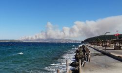 Son Dakika! Çanakkale'de Yangın! Alevler Büyüyor!
