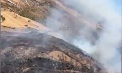 Son Dakika: Balıkesir Altıeylül’deki Orman Yangını Kontrol Altına Alındı!