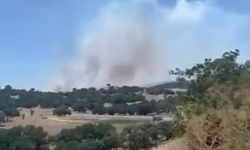 Son Dakika: Balıkesir’de Korkutan Orman Yangını! Alevler Patlayıcı Fabrikasına İlerliyor!