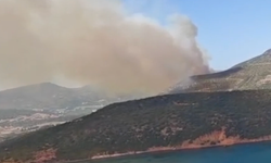 İzmir Foça'da Korkutan Yangın! Makilik Alan Alevlere Teslim Oldu: Hava Filosu Ve Arazözler Devrede!