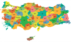 Türkiye'nin En Güvenli Şehirleri Hangileri? TÜİK Duyurdu: İşte En Az Suç İşlenen İller Tam Liste: