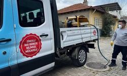 Sinekler çoğalıyor, ilaçlama yetersiz kalıyor!