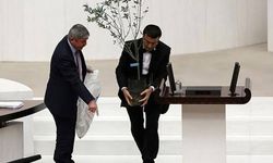 NAMIK HAVUTÇA'DAN ZEYTİNLİKLER İÇİN ÇAĞRI: "İMARA AÇMAYIN"