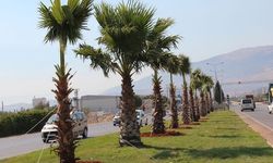 AK Parti'den Büyükşehir'e 258 Milyon Liralık Peyzaj Harcaması Soruları