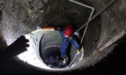 Altıeylül Ayşebacı’da Korkutan Dakikalar! Su Kuyusuna Düşen Yavru Kedi İçin Seferber Oldular!