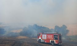Bandırma TOKİ Konutları Yakınında Korkutan Yangın! 4 Ayrı Noktadan Birden Başladı: Alevler Rüzgarla Büyüdü