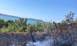 Cunda Adası'nda Korkutan Orman Yangını: Ekipler Zamanla Yarıştı, Alevler Söndürüldü!