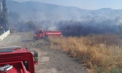 Balıkesir Edremit'te Korkutan Yangın! Güre Mahallesi'nde Zeytinlik Alan Alev Alev Yandı: Ekipler Seferber Oldu!
