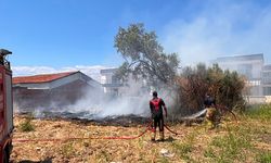 Gömeç'te Korkutan Dakikalar! Yerleşim Yerine Yakın Bölgede Alevler Yükseldi, İtfaiye Seferber Oldu!