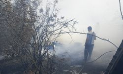 Susurluk’ta Korkutan Yangın: Eski Askeriye Mevkiinde Alevler Yükseldi! Tam 85 Arı Kovanı Kül Oldu!