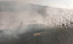 Balıkesir'de Korkutan Arazi Yangını: Susurluk Göbel'de Çıkan Yangın İçin 3 İlçe Seferber Oldu!