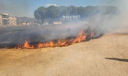 Son Dakika! Gömeç'te Korkutan Dumanlar Yükseldi! Mithatpaşa'da Ot Yangınına İtfaiye Ekiplerinden Müdahale!