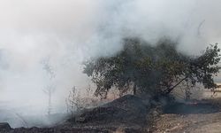 Güre İskele’de İtfaiye Ekiplerinden Hızlı Müdahale: Yoğun Duman Yükselen Otluk Alan Kontrol Altında!