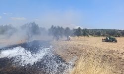 Ayvalık’ta Yangın Son Dakika: Kazım Karabekir Mahallesi'nde Ot ve Zeytinlik Yangını!