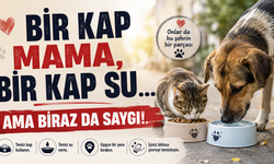 Bir kap mama, bir kap su, ama biraz da saygı!