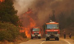 Susurluk'taki Orman Yangınında 450 Hektarlık Alan Etkilendi