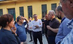 Ayvalık'taki Yangın Felaketinin Ardından Başkan Mesut Ergin Sahaya İndi: "Yaralarımızı Birlikte Saracağız!"