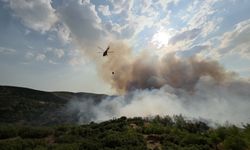 Manisa'da Korkutan Son Dakika Gelişmesi! Tarım Arazisinde Başlayan Yangın Ormana Sıçradı: Ekipler Seferber Oldu!