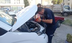 İtfaiye'den kedi kurtarma operasyonu! Aracın motoruna sıkışmış...
