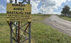 Ardahan’da Kuduz Alarmı! Bölge Karantinaya Alındı!