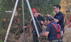 Balıkesir Altıeylül Ortamandıra'da Kurtarma Operasyonu: Kuyuya Düşen Koyun Sağ Çıkarıldı!