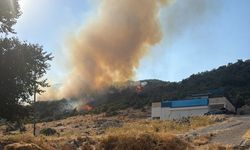 Antalya Kaş’ta Korkutan Yangın! Ekipler Alevleri Söndürmek İçin Seferber Oldu!