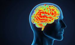 Bandırma Onyedi Eylül Üniversitesi'nden Devrim Niteliğinde Buluş! Alzheimer’ın Erken Tanısı İçin Yerli Biyosensör!