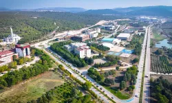 Balıkesir Üniversitesi'nden Dünya Çapında Başarı! Antibiyotikte Böbrek Hasarına Son Veren Araştırma!