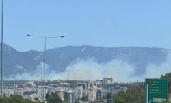 İzmir Yanıyor! Buca Tınaztepe Mahallesi'nde Orman Yangını!