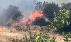 Bir yangın daha! Altıeylül Büyükbostancı'yı alevler sardı