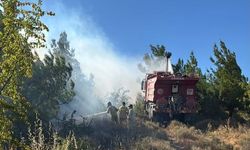 Balıkesir'de 5 Günde 16 Yangın: İhmal Felaketi Büyüttü