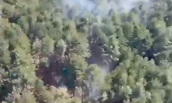 Son Dakika! Edremit Narlı’daki Orman Yangını Kontrol Altına Alındı!