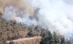 Sındırgı Düvertepe'de Korkutan Yangın! Araçta Başlayan Alevler Ormana Sıçradı!