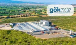 Göknur Gıda (GOKNR) Hisselerinde Sert Düşüş: Ankara Merkezli Soruşturma Piyasayı Salladı!