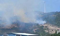 Balıkesir Erdek’te Orman Yangını: Alevlere Havadan Ve Karadan Müdahale Başlatıldı!