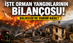 İşte orman yangınlarının bilançosu! Balıkesir'de durum nasıl?