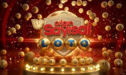10 Ağustos Sayısal Loto Sonuçları Belli Oldu! İşte Kazanan Numaralar: