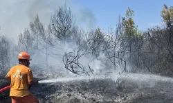 BALIKESİR YANGINLARINDA 6 BİN 733 HEKTAR ALAN ETKİLENDİ!